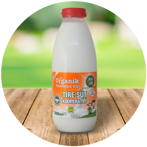 Organik Süt