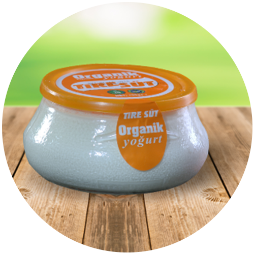 Organik Yoğurt