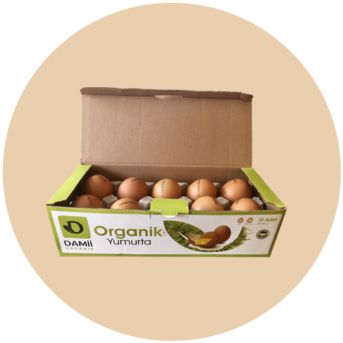 Organik Yumurta
